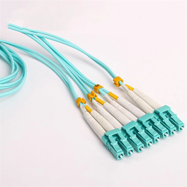 Core Monitoring Switch